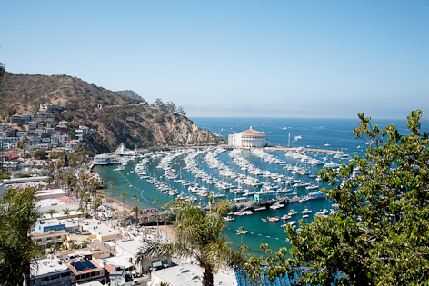 GC15_Avalon_Catalina_Island_California_USA_36x56