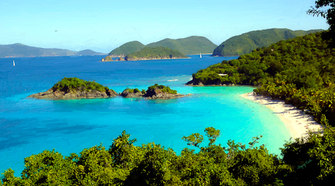 GC2_Trunk_Bay_St_John_Island_VI_20x36