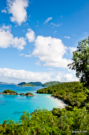GC3_Trunk_Bay_St_John_VI_56x38-2
