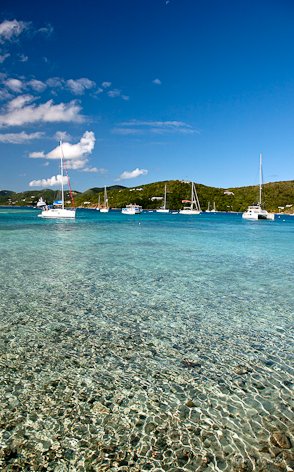 GC5_Coral_ Reef_Marina_Cay_BVI_36x56