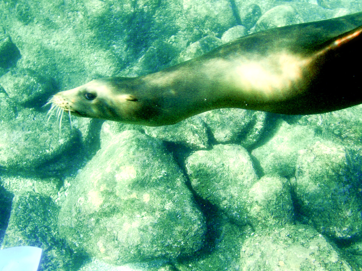La Paz  olympus   (177 of 233)