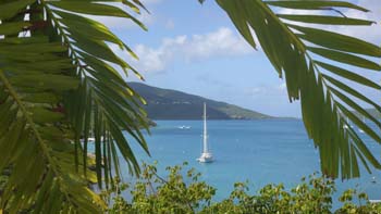 BVIs 2007  (913 of 142)