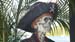 BVIs 2007  (968 of 142)